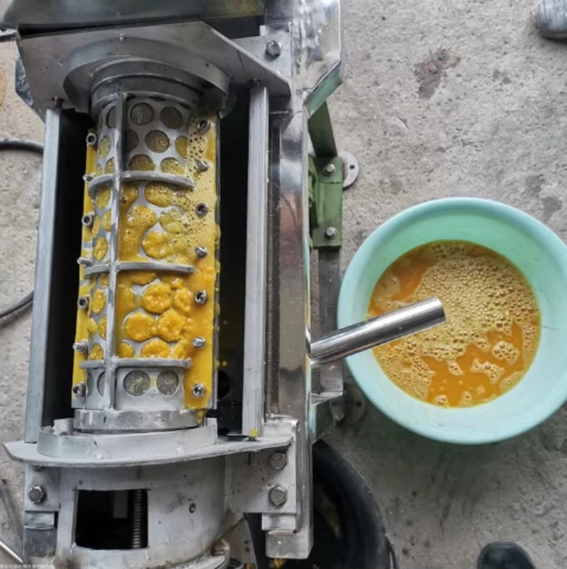 Commercial Crushing Juicer Scr - Cold Press Juicer 评论和价格