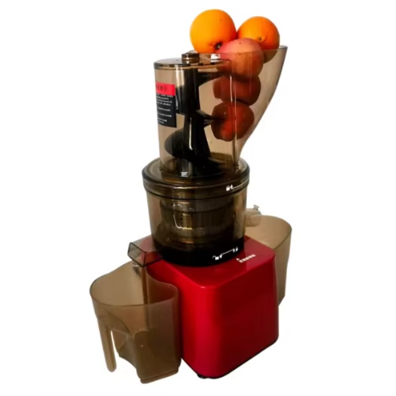Stainless Steel Fruit Vegetabl - Cold Press Juicer 评论和价格