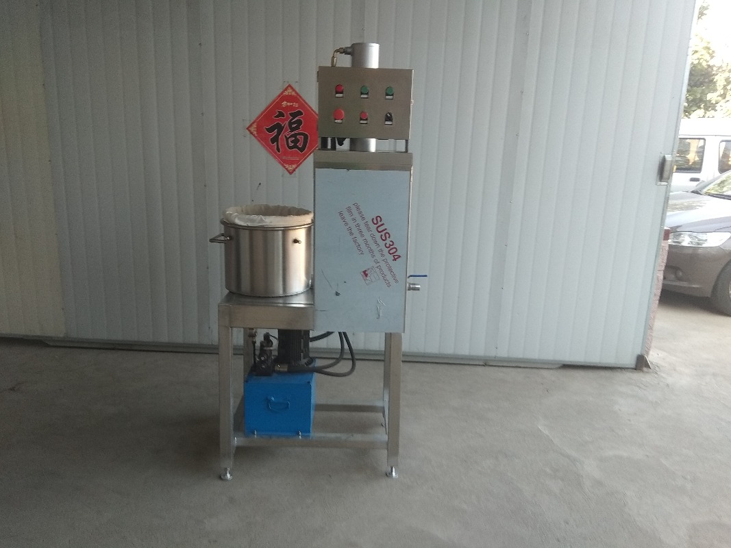 2026Industrial Automatic Grape - Cold Press Juicer 评论和价格