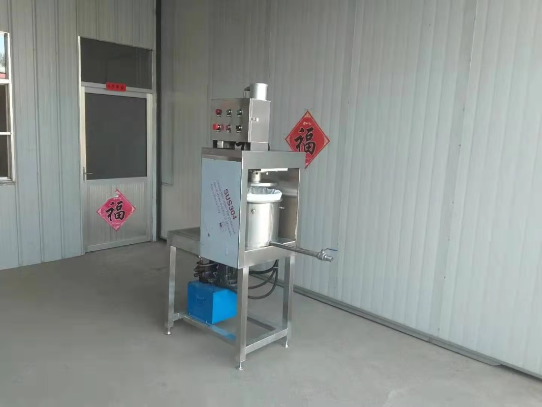 2026Industrial Automatic Grape - Cold Press Juicer 评论和价格