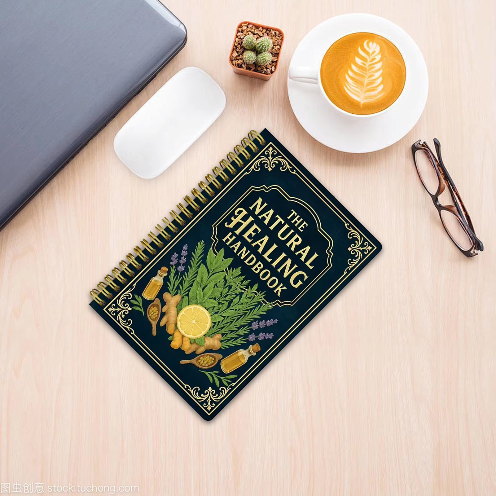 Healing Handbook By Luna Filby - Holistic Health & Wellness 评论和价格
