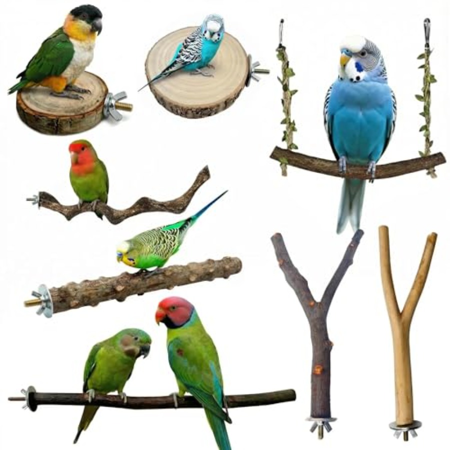 8PCS natural wood bird perches - Health & Wellness Tablet Cutter 评论和价格