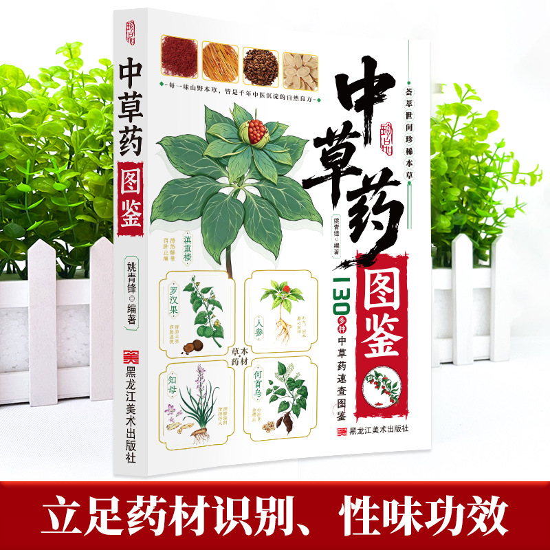Illustrated Guide  Chinese Her - Holistic Health & Wellness 评论和价格