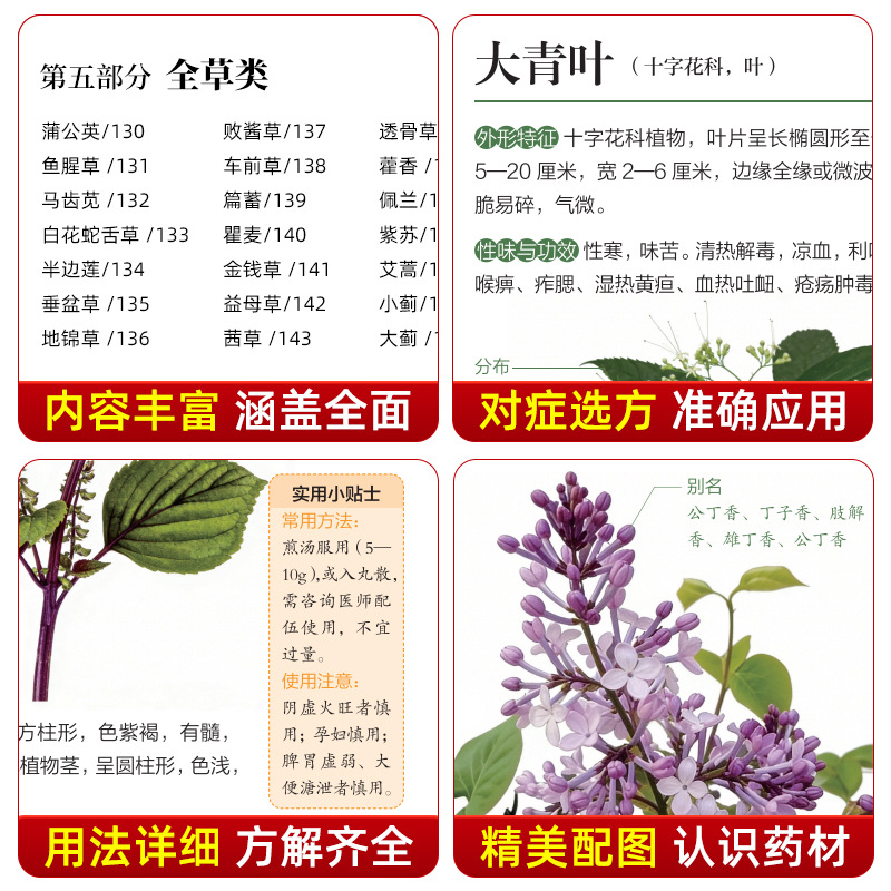 Illustrated Guide  Chinese Her - Holistic Health & Wellness 评论和价格