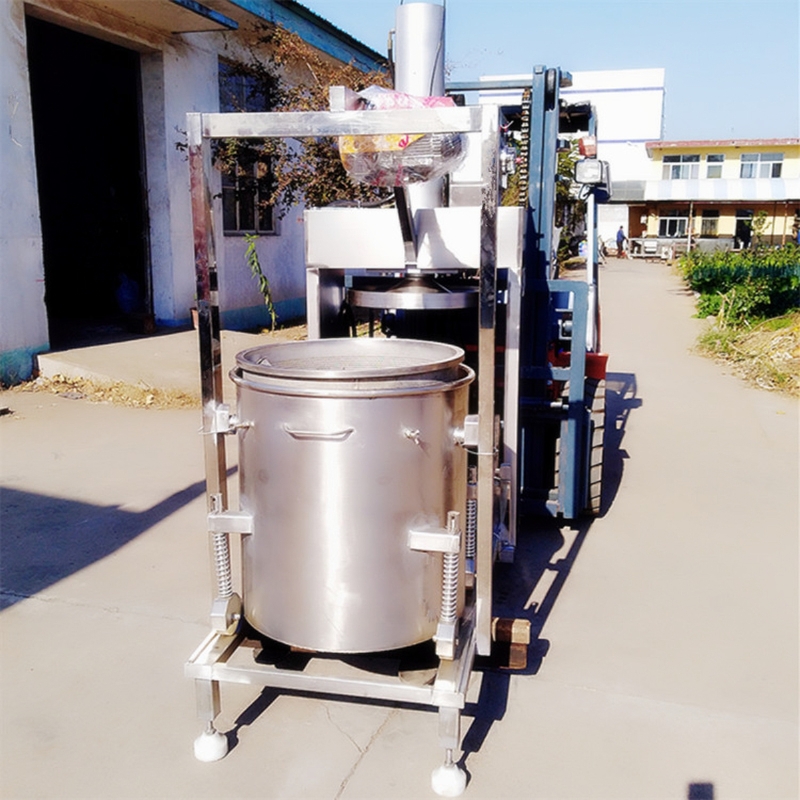 Hydraumatic Fruit andCrusher J - Cold Press Juicer 评论和价格